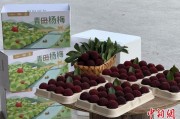 占卜断事高速赋能产业升级：一条“杨梅路”的致富密码